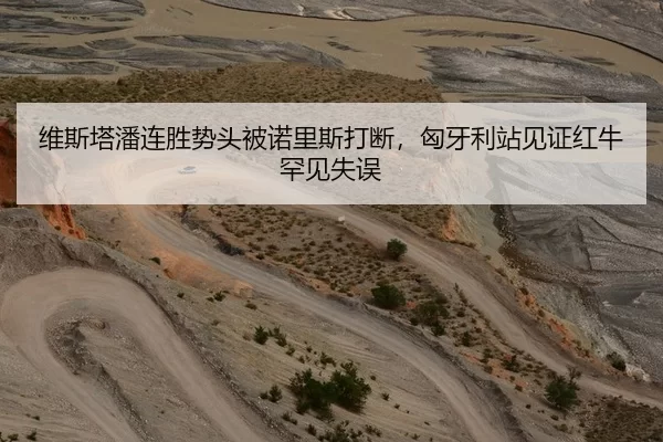 维斯塔潘连胜势头被诺里斯打断，匈牙利站见证红牛罕见失误