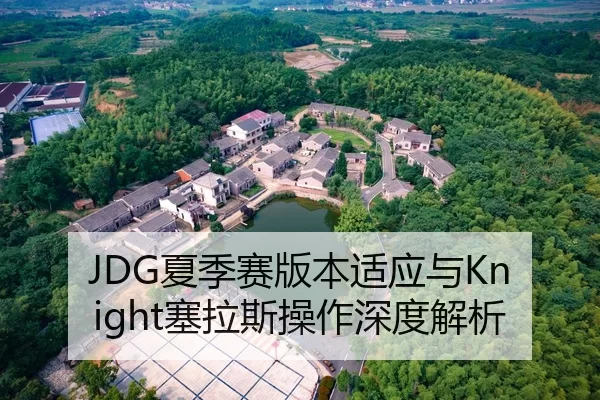 JDG夏季赛版本适应与Knight塞拉斯操作深度解析