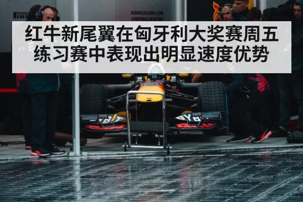红牛新尾翼在匈牙利大奖赛周五练习赛中表现出明显速度优势
