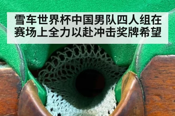 雪车世界杯中国男队四人组在赛场上全力以赴冲击奖牌希望
